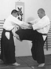 taihojutsu 1